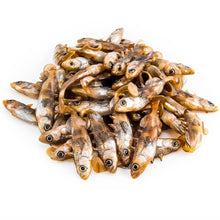 Load image into Gallery viewer, Angry Lures. Angry Stickleback 6cm - 2.5g