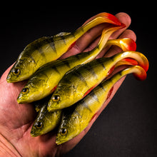 Load image into Gallery viewer, Angry Lures. Perch paddle tail lures 7.5cm - 15.5cm.