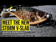 Load and play video in Gallery viewer, Storm V-SLAB 21,5cm -70g (8"-2 1/2 oz) Fishing swimbait. SALE