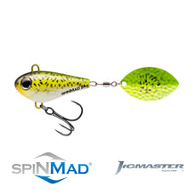 Загрузить изображение в средство просмотра галереи, Spinmad Jigmaster tail spinner. Hard lure