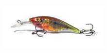Загрузить изображение в средство просмотра галереи, Fishtank Charlie crankbait, wobbler. Hard Lure