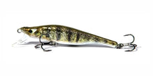 Load image into Gallery viewer, Fishtank Delta crank bait , wobbler. Hard Lure SALE UP TO 50% OFF