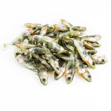 Load image into Gallery viewer, Angry Lures. Angry Stickleback 6cm - 2.5g