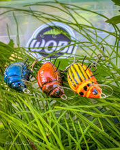 Load image into Gallery viewer, Wobi Bug Surface fishing lure. 100 % hand made hard lure.
