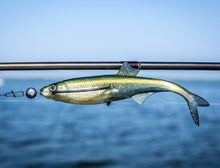 Laden Sie das Bild in den Galerie-Viewer, Angry Lures. Angry Bleak F-Tail . Fishing lures 1pcs.
