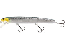Load image into Gallery viewer, WESTIN JÄTTE CRANKBAIT 17cm - 47g. Sale up tp 50% OFF
