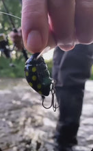 Загружайте и воспроизводите видео в средстве просмотра галереи Wobi Bug Surface fishing lure. 100 % hand made hard lure.

