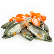 Cargar imagen en el visor de la galería, Angry lures Angry roach jointed 12,5cm-23g Hand made.
