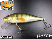 Load image into Gallery viewer, Pad baits perch crank bait. 12cm-32g floating wobbler. Sale
